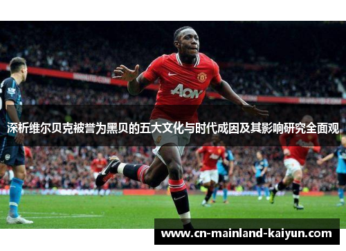 深析维尔贝克被誉为黑贝的五大文化与时代成因及其影响研究全面观