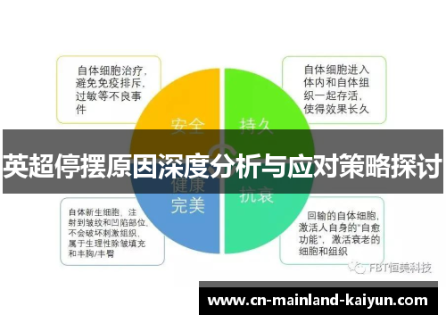 英超停摆原因深度分析与应对策略探讨