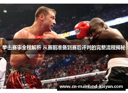 拳击赛事全程解析 从赛前准备到赛后评判的完整流程揭秘