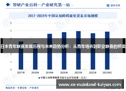 日本青年联赛发展历程与未来趋势分析：从青年培养到职业联赛的桥梁