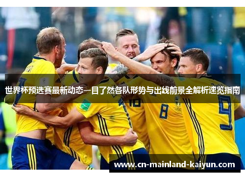 世界杯预选赛最新动态一目了然各队形势与出线前景全解析速览指南