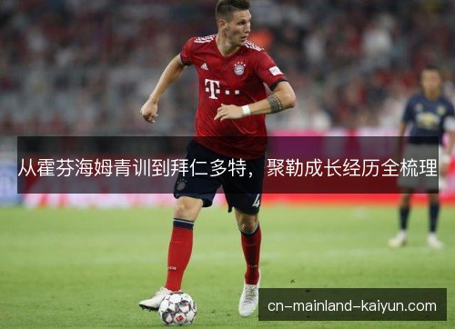 从霍芬海姆青训到拜仁多特，聚勒成长经历全梳理
