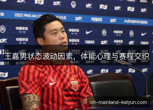 王嘉男状态波动因素，体能心理与赛程交织